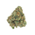 Zowah