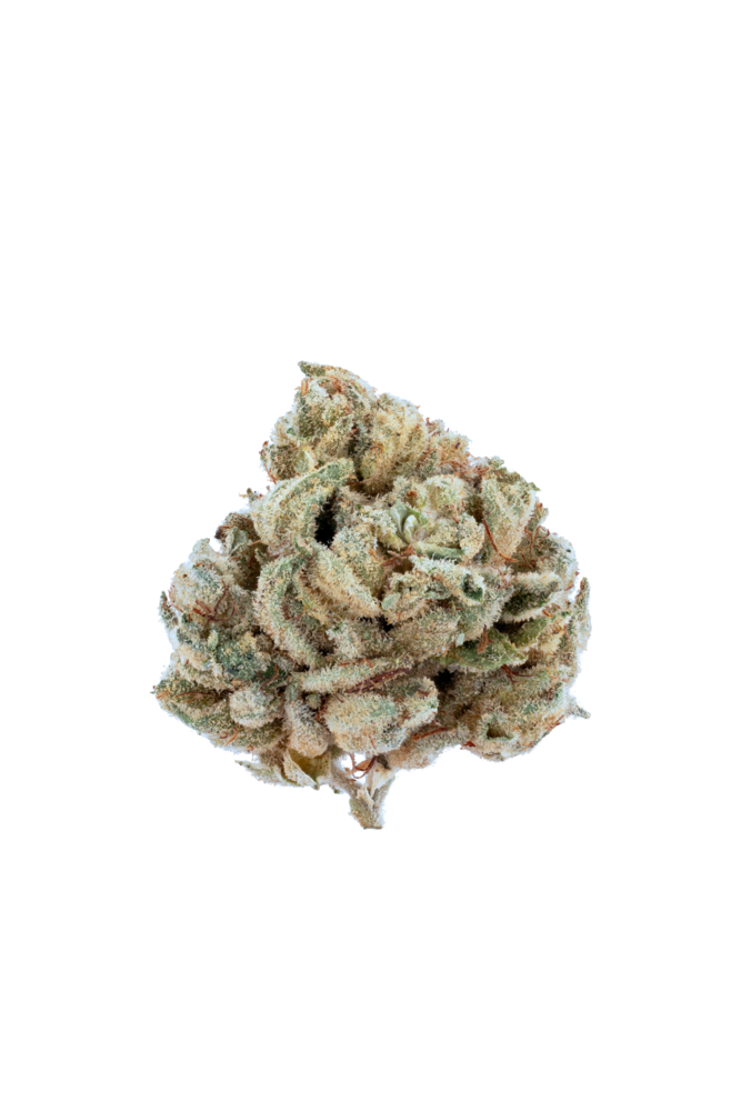 Bubblegum Cookies