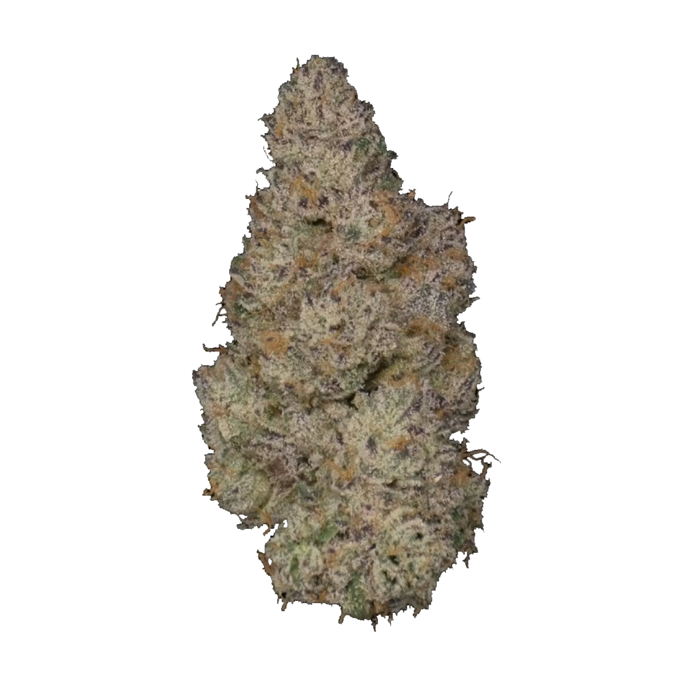 Sakura Cali