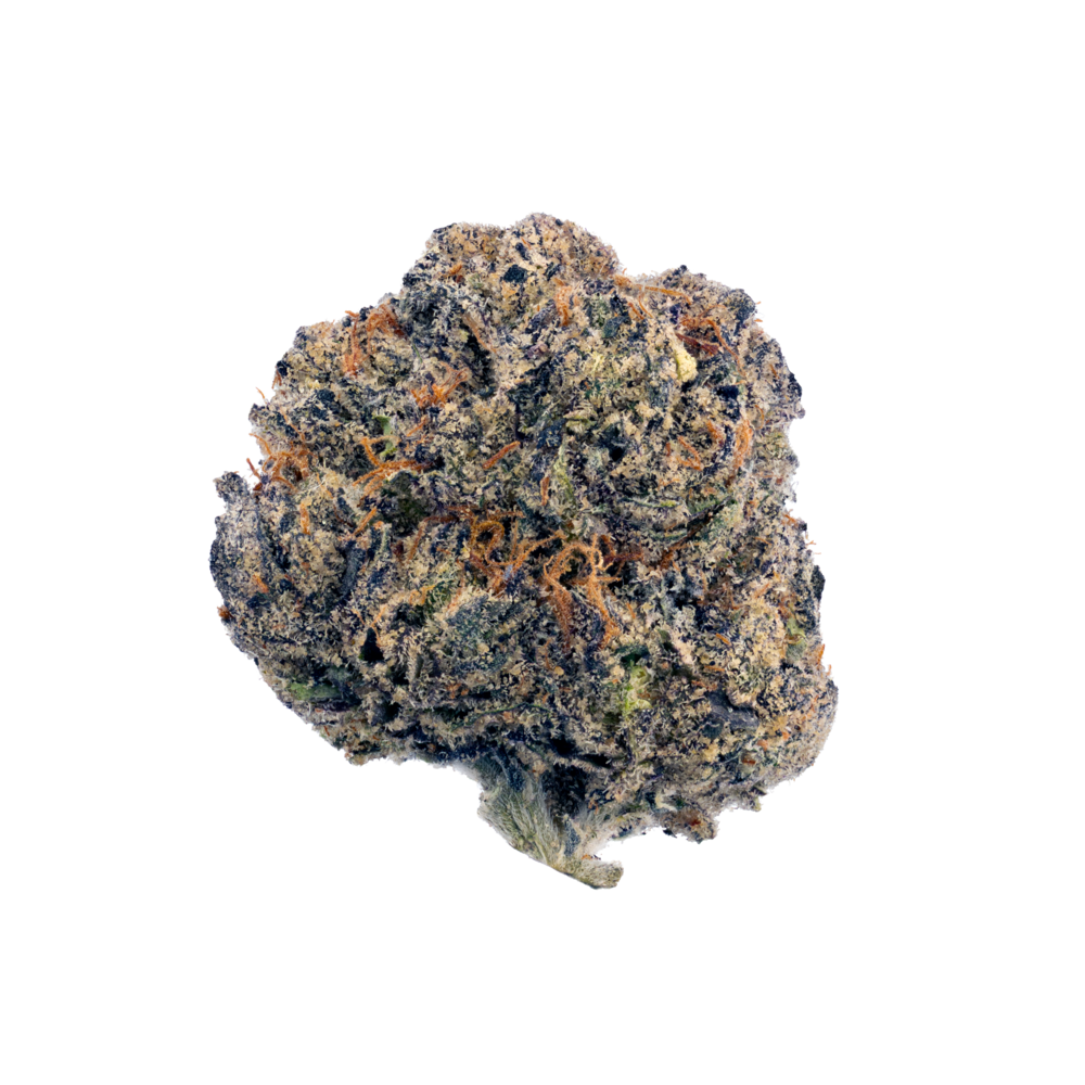 Blue Zoap Cali