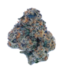 Apple Scotti