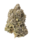 Kush Mints