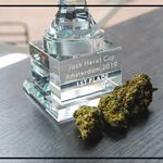Coffeeshop in Amsterdam Got you high? - Things you can do