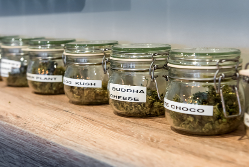 Which Strains Will Make Your 