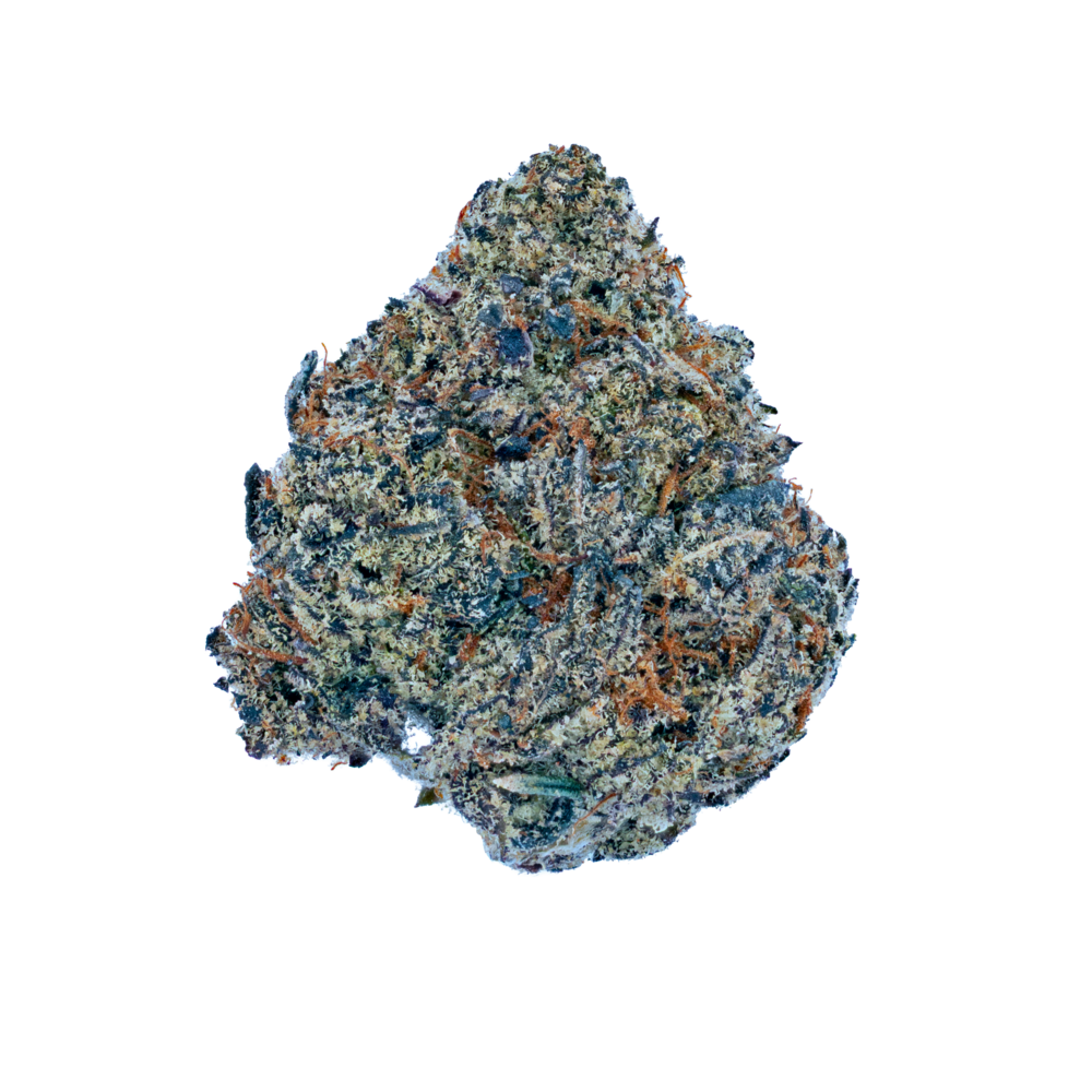 Black Truffle