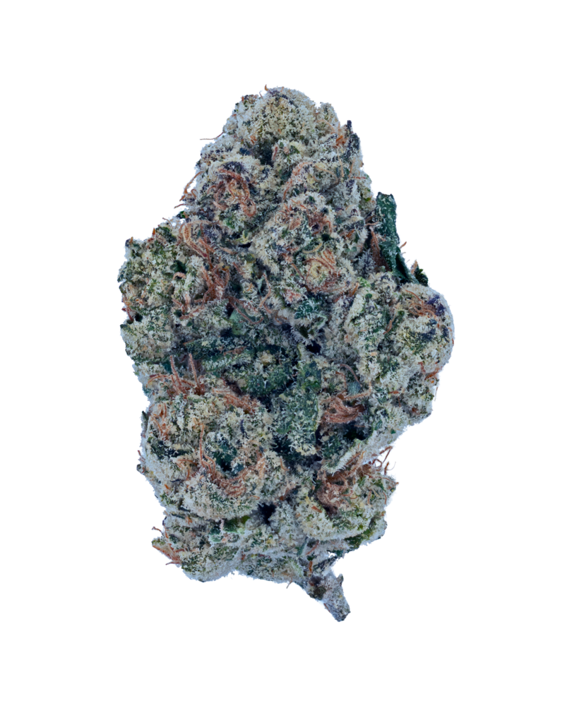 Gas Scottie