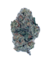 Gas Scottie