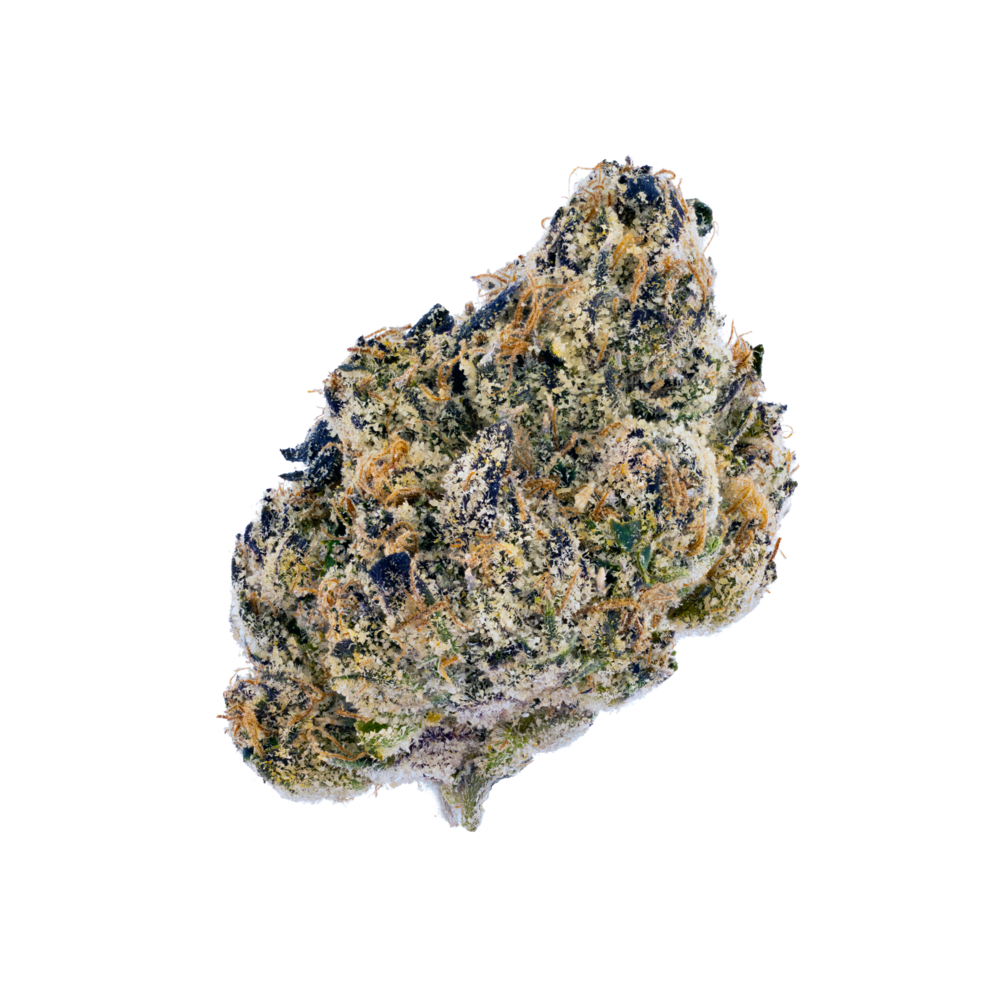 Cherry Warhead