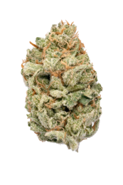 Amnesia haze