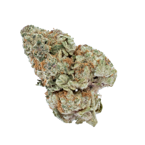 Tropical Cherry