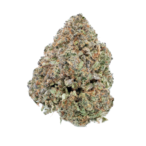 Purple Diesel