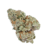 Tropical Cherry